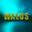 _MrWalus_