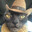 Sheriff Catnip's Avatar