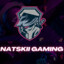 NatSkii_Gaming