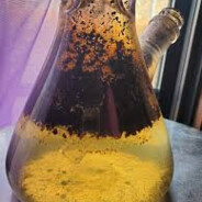 DirtyBongWater