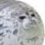 Sealboy