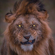 Jipolino - steam id 76561199446500789