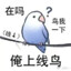 Xiaohe
