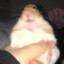 sid