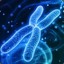 chromosome chan