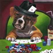 Poker Dawg