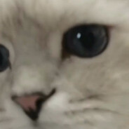 剑崎一真的很困