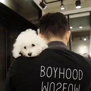 十一先生你在她眼里吗