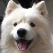 把加速器关了！