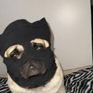 Cenpai