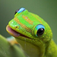 carab1n