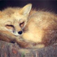 Bad Slowfox - steam id 76561197963137769