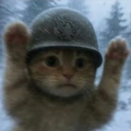 哈基米小学校草