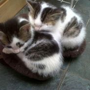 BOOM!!! Goes the dynamite!!!