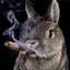 toomla's avatar