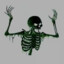 sk1letoN