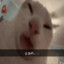 Wait i'm goated.'s avatar