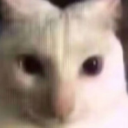 吾欲刺挠尔之腚