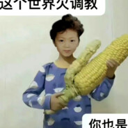 这个世界欠调教你也是