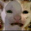 Anonimowy