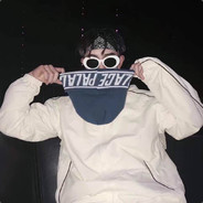 站在冰箱上的我