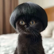 чернаякотость67team