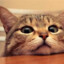 R U Kitten ME