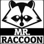 MR. Raccoon