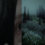 ifsmyou / prime