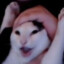 Alexxanderrx