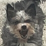 Mimi ni mirtages ジ