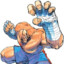 Sagat-Landers