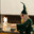 and the BongWizard
