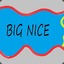 Big Nice