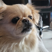 Kosmooooooo - steam id 76561198296904008