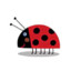 Gaston the Ladybird