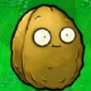 天才少女章景尧