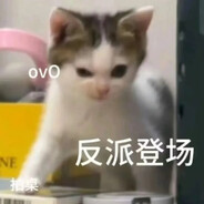 小猫