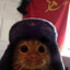Vegan_Fox