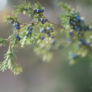 \u75af\u72c2\u5c0f\u5bc2\u5bde