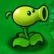 爱测码的豌豆射手