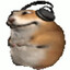 pędziwiatr