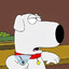 u shoot i doge