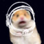 Space Hamster