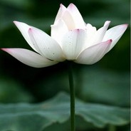 年轻人平稳心态