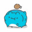 capoo