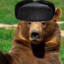 BearWithBeer