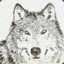 Smiling_Silver_Wolf