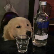 Я так не думаю