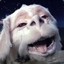 Falkor